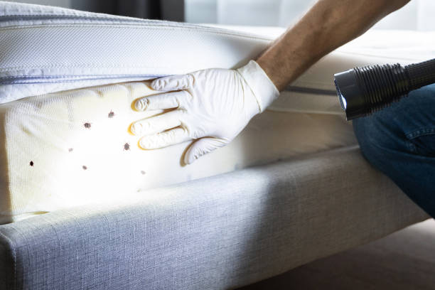 Best Pest Prevention Services  in San Leon, TX