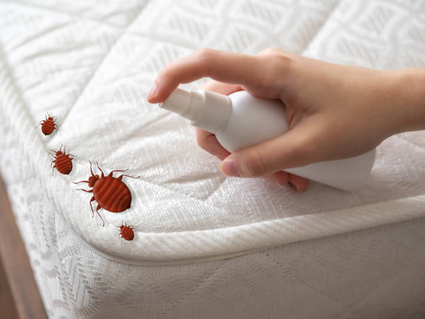 Pest Control for Restaurants in San Leon, TX