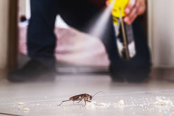 Best Pest Prevention Services  in San Leon, TX